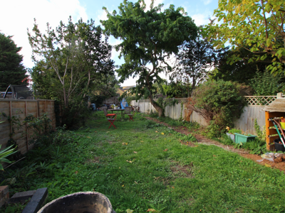 Picture 11